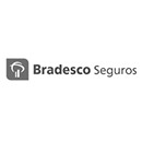 Bradesco Seguros